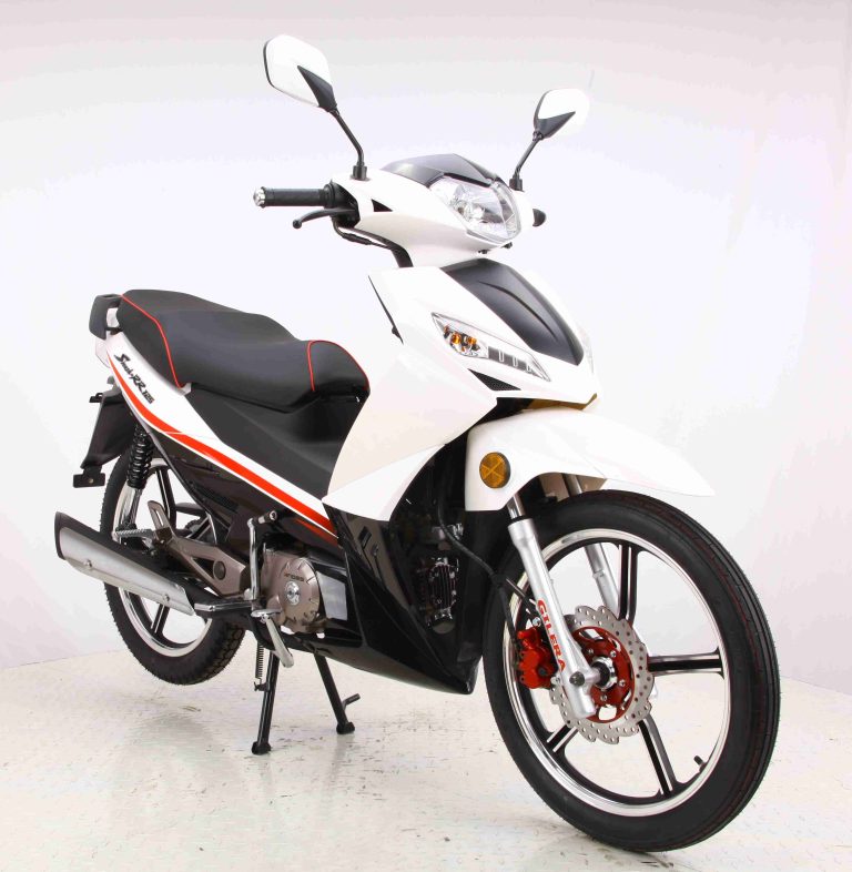 Chongqing Andes Motorcycle Manufacturer, Carburetor/EFI 125CC Gasoline Underbone CUB Daily Commuting OEM Available-RACING125